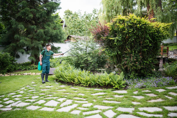 Best Pest Prevention Services  in Bagdad, FL