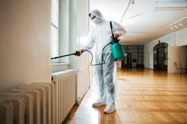 Best Wasp Removal Services  in Bagdad, FL