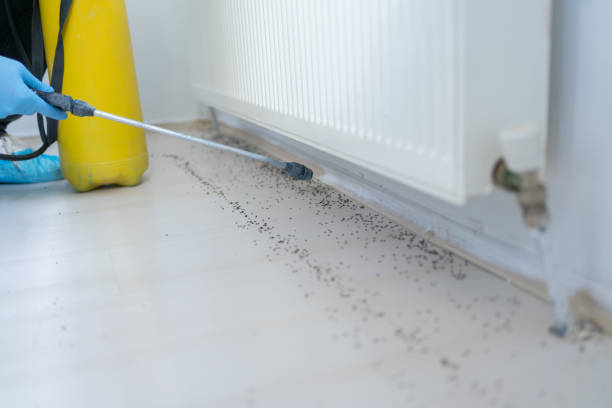 Best Affordable Exterminators  in Bagdad, FL
