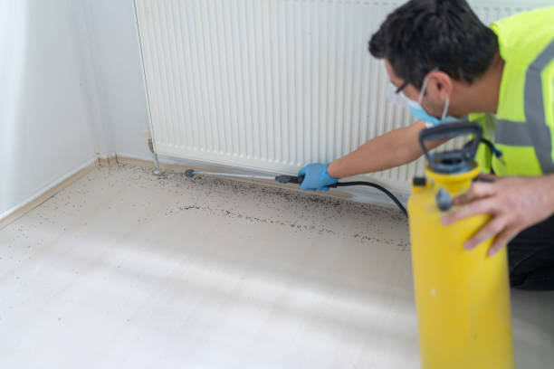 Best Termite Control Services  in Bagdad, FL