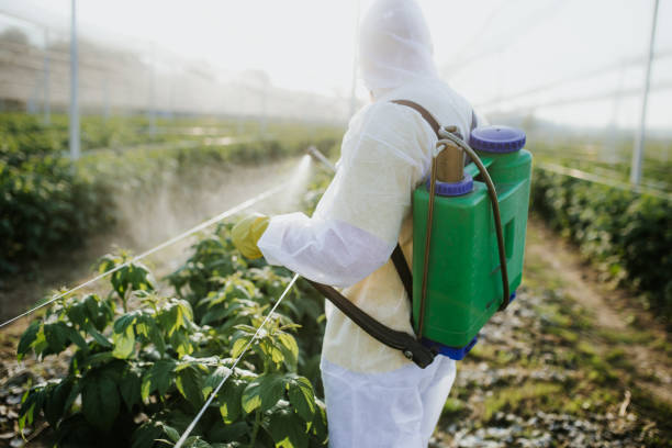 Best Local Pest Control Services  in Bagdad, FL